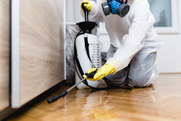 Best Exterminator Services  in Creve Coeur, MO