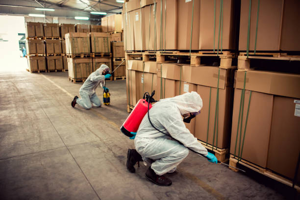 Best Wasp Removal Services  in Creve Coeur, MO