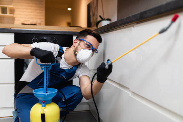 Best Mosquito Control Services  in Creve Coeur, MO